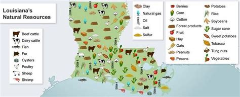 This Map Shows The Natural Resources That Are Available Across The