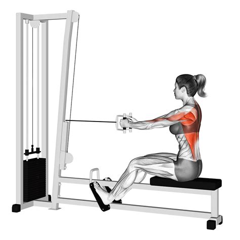 Lat Pulldown Vs Seated Row Major Differences Explained Inspire Us