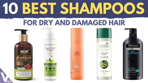 Top Best Shampoos For Dry And Damaged Hair Buyer S Guide Youtube