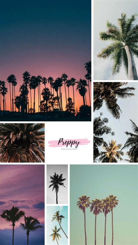 Preppy Wallpapers Super Cute Iphone And Mac Wallpapers Palm Tree