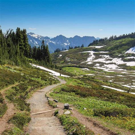 Skyline Trail Mount Rainiers Best Day Hike The National Parks