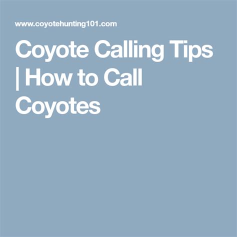 Coyote Calling Tips How To Call Coyotes Coyote Coyote Hunting Tips
