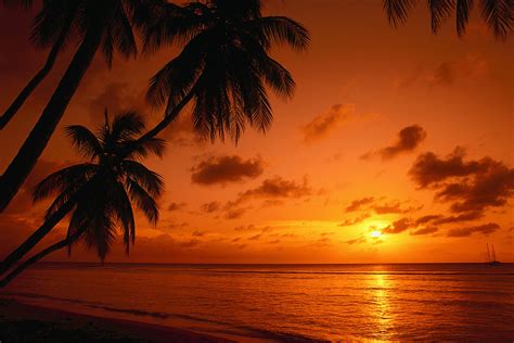 Tropical Beach Paradise Sunset Wallpaper Free 2015 Flickr