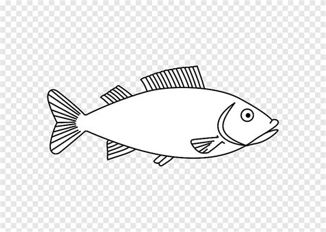 كيف ارسم سمكة