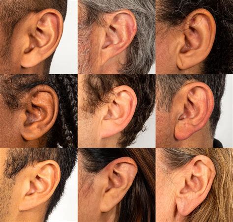 Multiple Images Of The Same Persons Ear
