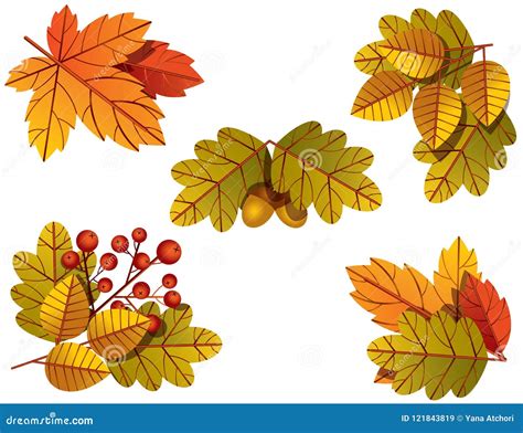 Vector Colorful Illustration Of Autumnal Tree Leaves Stock