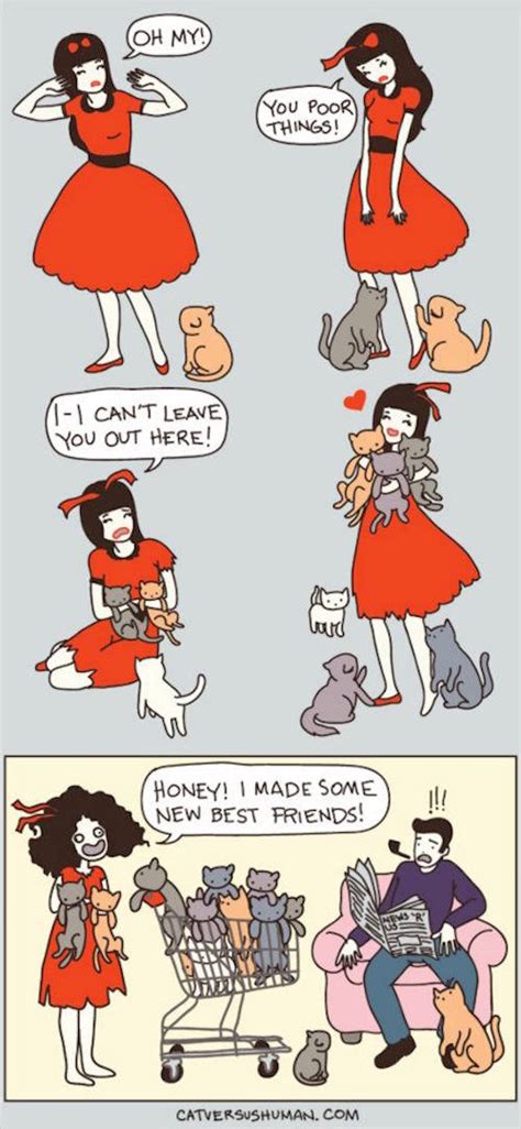Your resting heart rate is the number of times your heart beats per minute when you're at rest. Are You A Crazy Cat Lady? Then You'll LOVE This Hilarious ...