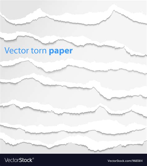 Collection White Torn Paper Royalty Free Vector Image