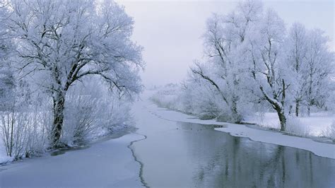 38 Hd Winter Wonderland Wallpaper Wallpapersafari