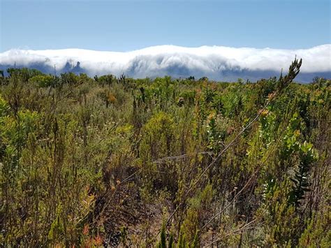 Helderberg Nature Reserve Somerset West 2020 All You Need To Know