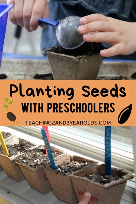 How To Plant Seeds For An Easy Kids Gardening Activity