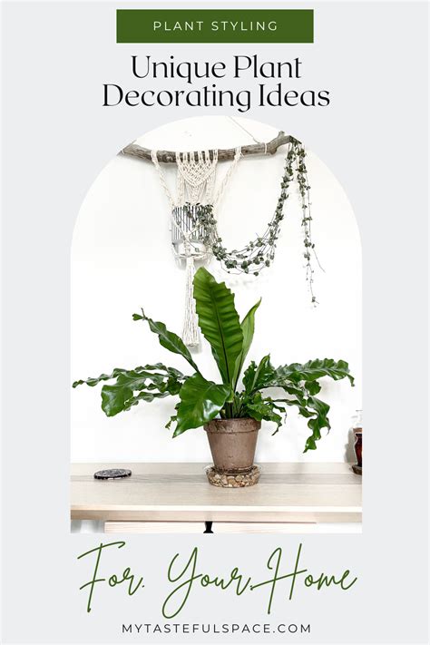 Have You Ever Thought About Using Plants To Style Your Home There Are