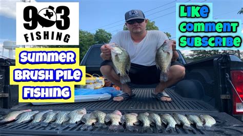 Summer Crappie Fishing Using Live Minnows Over Brush Piles Multiple