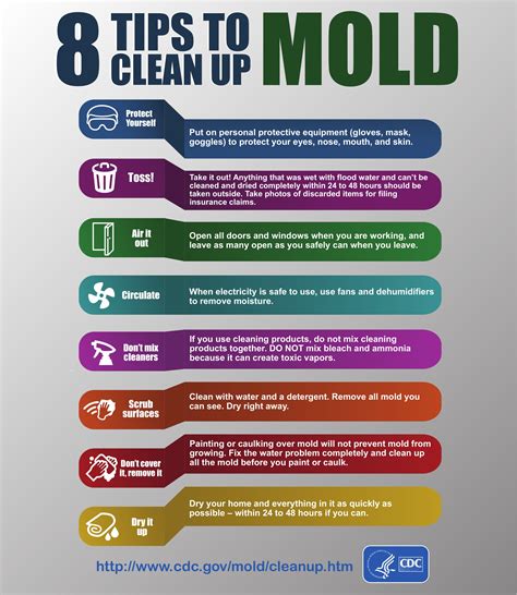 What To Do If Your House Has Mold Health Risks And Tips To Remove