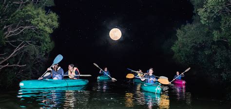 A Full Moon Canoe Experience On The Bellinger River Coastbeat