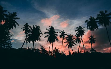 Download Wallpaper 3840x2400 Palms Outlines Sunset Tropics Clouds