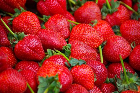 How To Grow Strawberries In Containers How To Grow Stuff