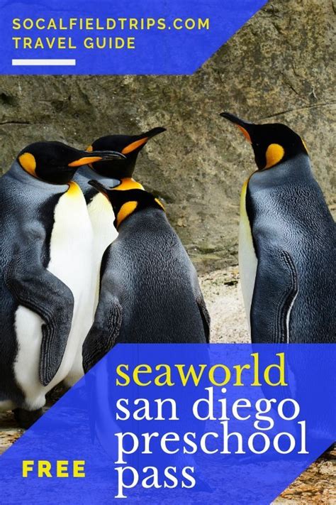 Offer valid for limited time and subject to change and/or cancellation without notice. SeaWorld San Diego is delighted to offer a free 2019 SeaWorld Preschool Fun Card to the first ...