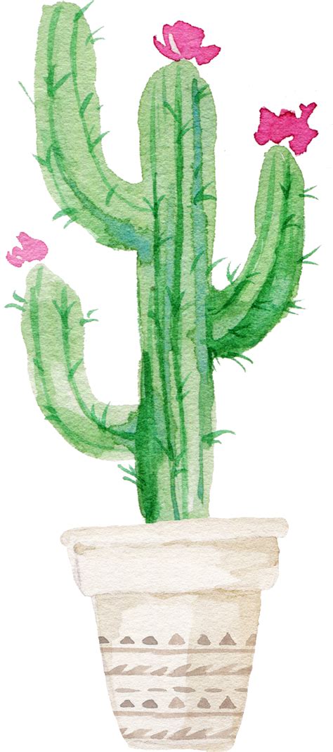 Download Succulent Plant Watercolor Painting Watercolor Cactus Png