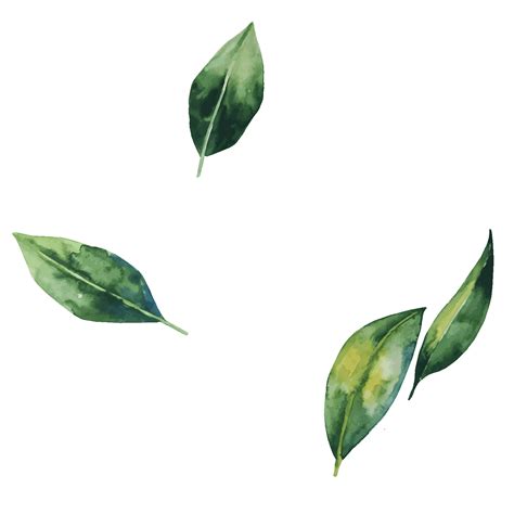 I have a problem with displaying my gif with a transparent background because when i start this program, my gif shows but all pictures of gif stayed on the canvas. Falling Leaves Sticker by Lloyd's Inn for iOS & Android | GIPHY