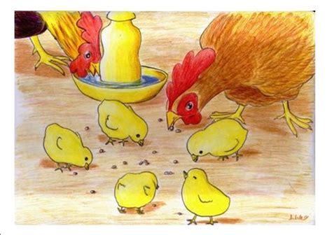 Belajar menggambar dan mewarnai gambar anak ayam #2 dengan spidol warna warni untuk anak sd, tk & paud. 33++ Gambar Kartun Ayam Makan - Gambar Kartun HD