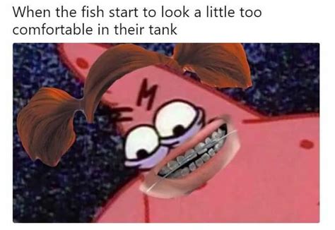 When The Fish Starts To Look A Little Uncomfortable In Their Tank