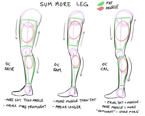 Drawing Reference Tumblr Anatomy Legs Drawings Drawing Reference Drawing Legs