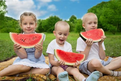 Young Children Eating Watermelon Stock Photo Image Of Grass Kids
