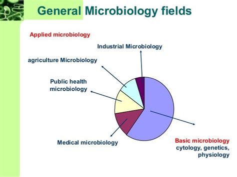 Chapter 1 Microbiology 8th Edition