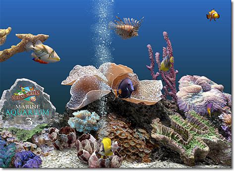 Serene Screen Aquarium The Ultimate 3d Virtual Aquarium Massageprecept