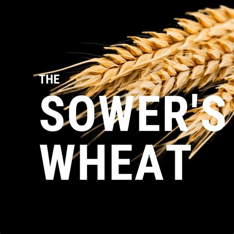The Sowers Wheat