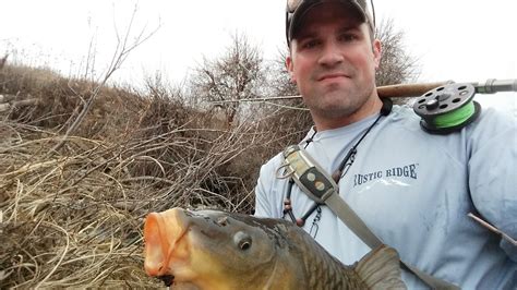 Go Fly A Carp Colorado Carp Fly Fishing Catching Carp On The Fly In