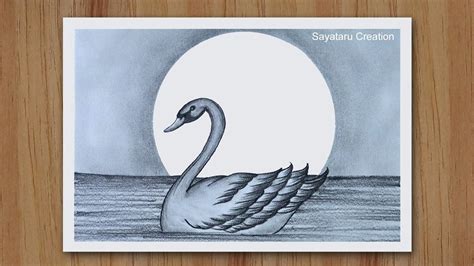How To Draw A Swan Swimming In Water Step By Step Duck Pencil Sketch
