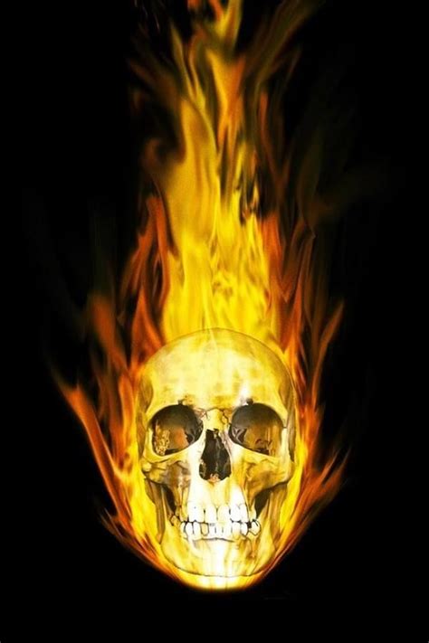 21 Best Flaming Skulls Images On Pinterest Skulls Skull Art And Fire
