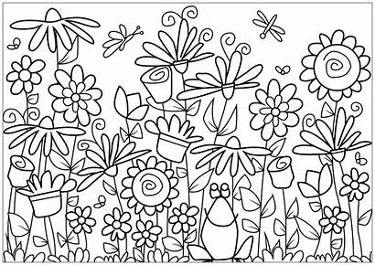 Coloring Flowers Pages Flower Adults Frog Vegetation