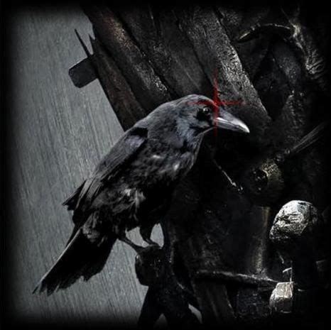 Gothic Wallpaper Crow Art Crow
