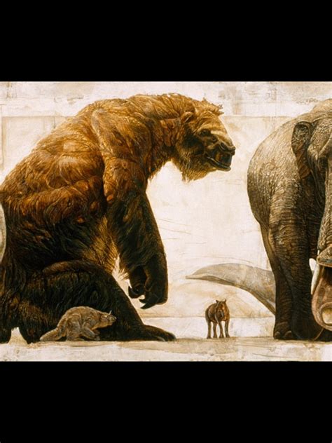 Who Were The First Mammals On Earth The Earth Images Revimageorg
