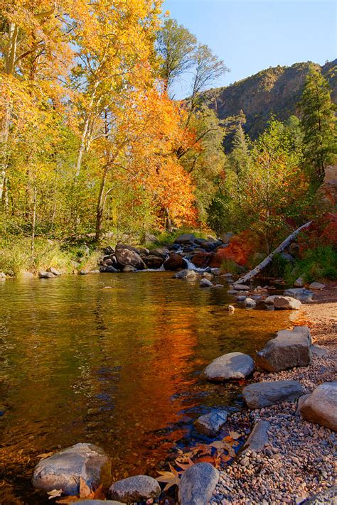 Oak Creek Canyon Fall Colors Photograph By Austin Troya