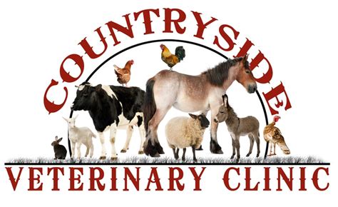Countryside Veterinary Clinic Veterinarians 2724 E 700th N Saint