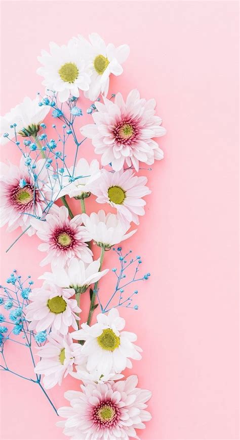 Girly Pink Flower Iphone Hd Phone Wallpaper Pxfuel