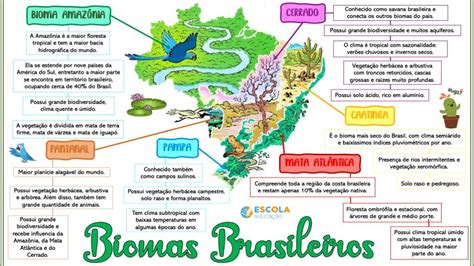 Mapa mental Biomas brasileiros Baixe grátis o mapa mental em PDF