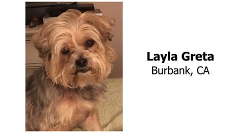 Search keyword, category or job title. What Purina, Mars and Hill's say about Human Grade Pet ...