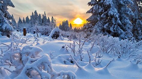 Puesta De Sol Sobre Paisaje Nevado Naturaleza Nieve Invierno