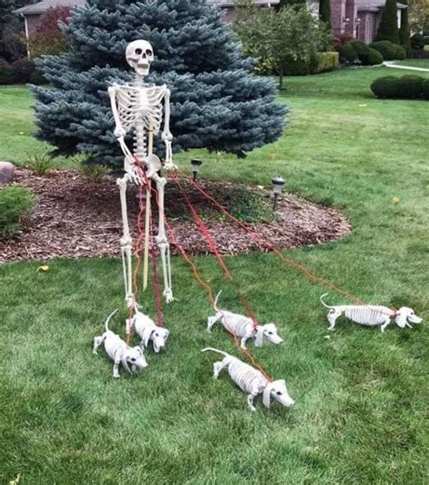 30 Skeleton Halloween Decoration Ideas For Outdoors Halloween