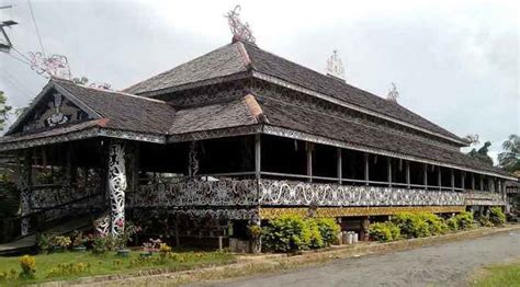Rumah lamin adalah rumah adat suku dayak yang ada di daerah kalimantan timur, rumah lamin berbentuk memanjang dan bertipe panggung. 18 Rumah Adat Khas Indonesia dari Sabang Sampai Merauke
