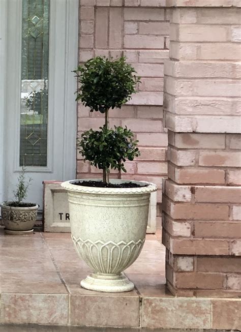 French country French Country, French Style, Potted Plants, Shabby Chic