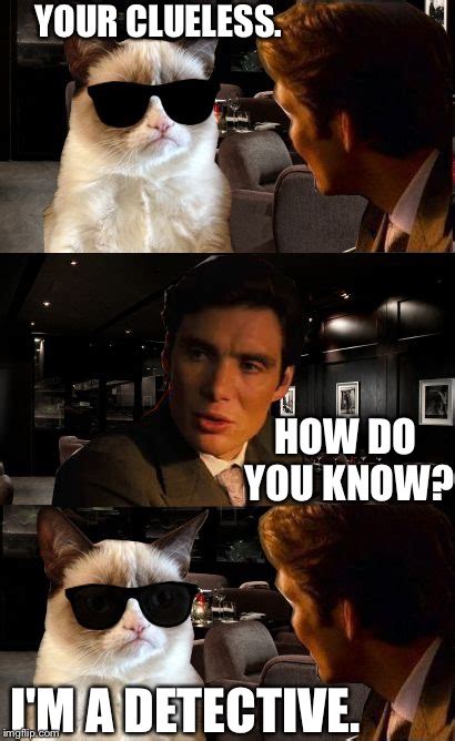 Leonardo And Grumpy Cat Memes And S Imgflip