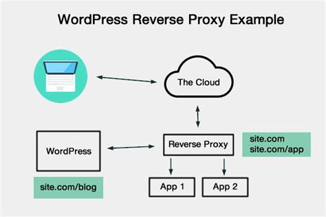 Can Your Site Benefit from a WordPress Reverse Proxy? - Pagely®