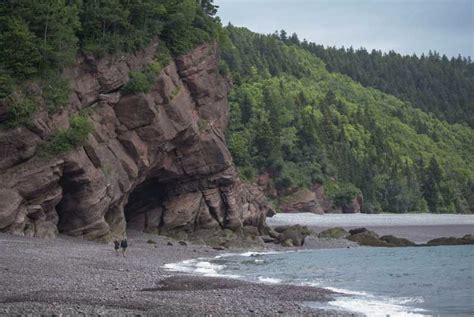 Saint John Bay Of Fundy Guided Kayaking Tour With Snack Getyourguide