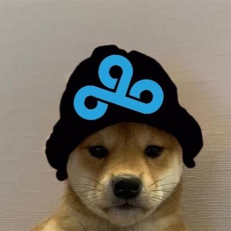 Cloud9 Dogwifhat Dogwifhat Dog Images Dog Memes Dog Icon